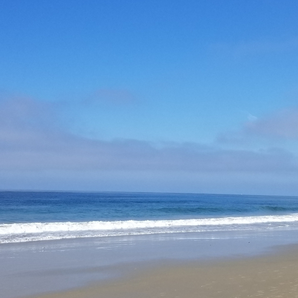 Meet your Posher, Posh